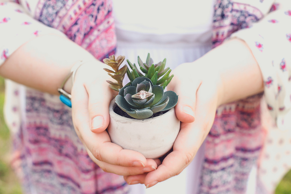   Wedding Rings and Succulents | Chas + Tracy's Whimsical Engagement Session | Photography by Two Arrows Photography | Find more at twoarrowsphotos.com  